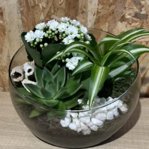 Centro white plantas. 4 Centro white plantas. - Imagen 1