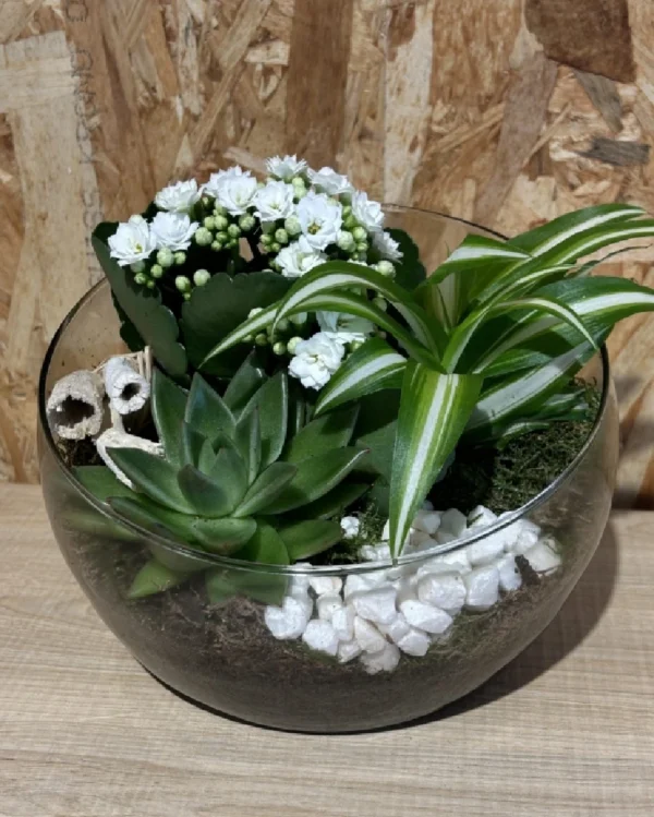 Centro white plantas Centro white plantas