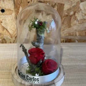 Cúpula con Rosa Roja preservada. 5 Cúpula con Rosa Roja preservada. - Imagen 3