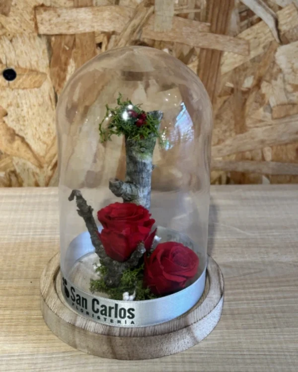 Cúpula con Rosa Roja preservada. 2 Cupula con Rosa Roja preservada 1