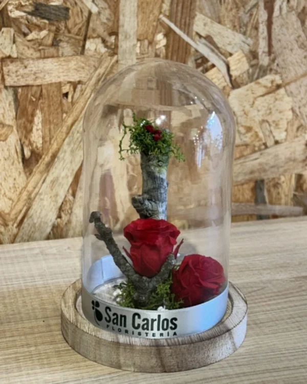 Cúpula con Rosa Roja preservada. 1 Cupula con Rosa Roja preservada 2