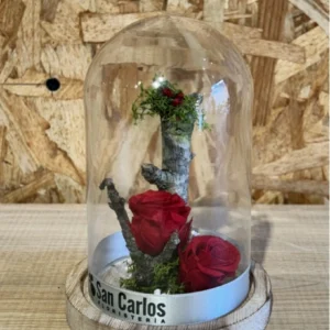 Cúpula con Rosa Roja preservada. 3 Cúpula con Rosa Roja preservada. - Imagen 1