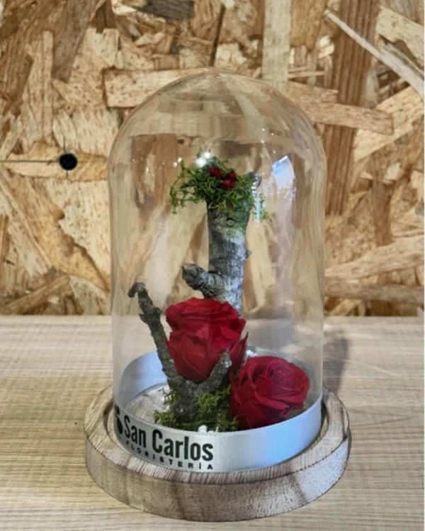 Cúpula con Rosa Roja preservada Cupula con Rosa Roja preservada