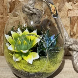 Huevo cristal con echevaria. - Imagen 3