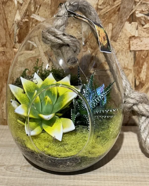 Huevo cristal con echevaria 1