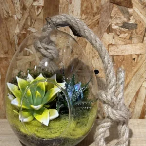 Huevo cristal con echevaria. - Imagen 2