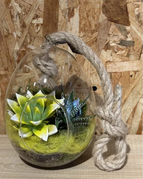 Huevo cristal con echevaria 2