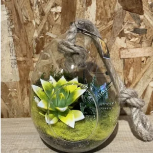 Huevo cristal con echevaria. - Imagen 1