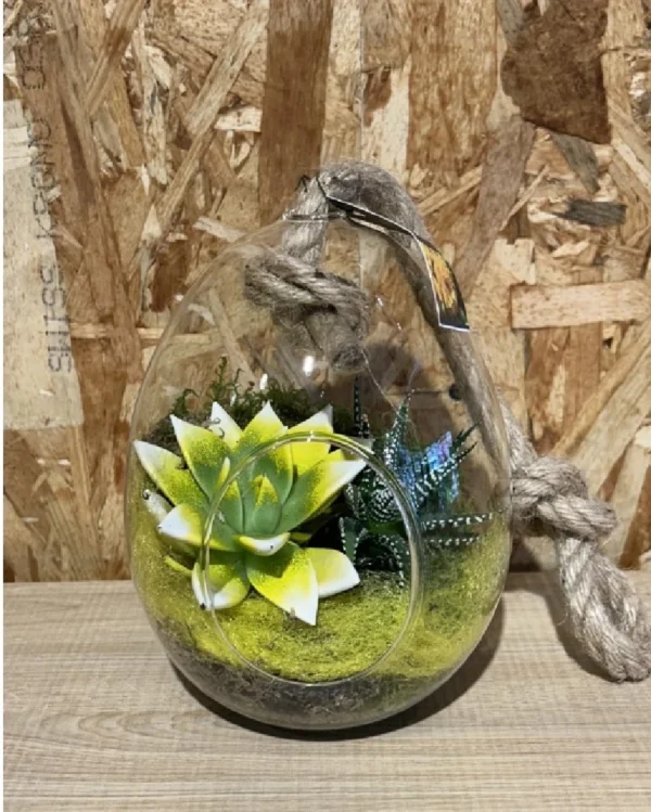 Huevo cristal con echevaria