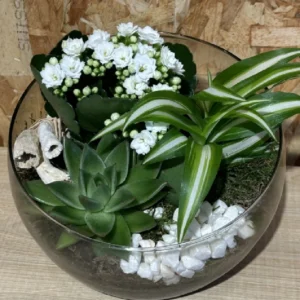 Centro white plantas. 6 Centro white plantas. - Imagen 3