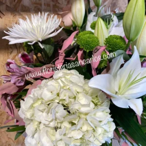 Inicio 23 Ramo Hydrangea blanco y rosa