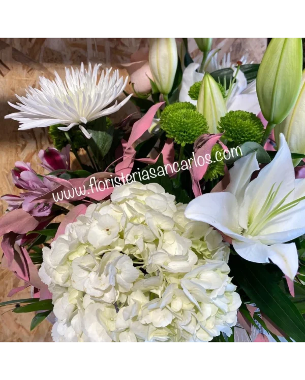 Ramo Hydrangea blanco y rosa