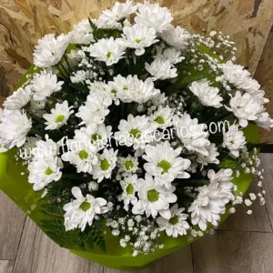 Inicio 26 Ramo de margaritas blancas