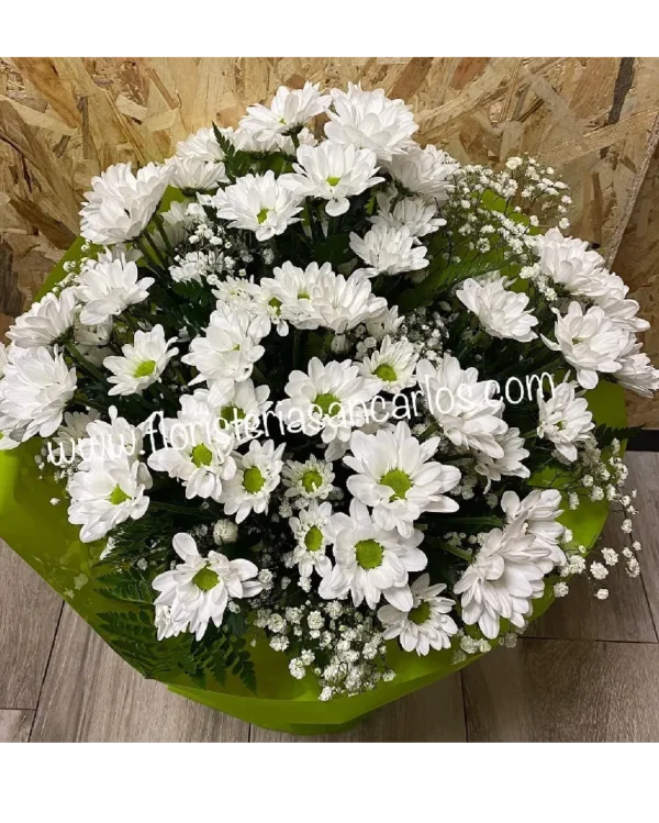 Ramo de margaritas blancas