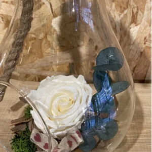 Rosa preservada Blanca en bombilla cristal L 7 Rosa preservada Blanca en bombilla cristal L - Imagen 4