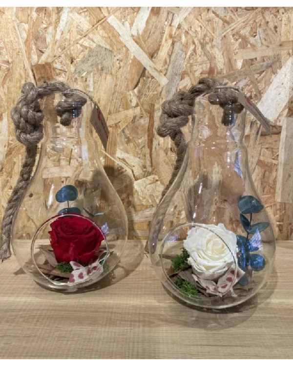 Rosa preservada roja en bombilla cristal L 3 Rosa preservada Blanca en bombilla cristal L