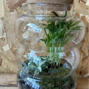 Terrarium cristal con plantas. - Imagen 4