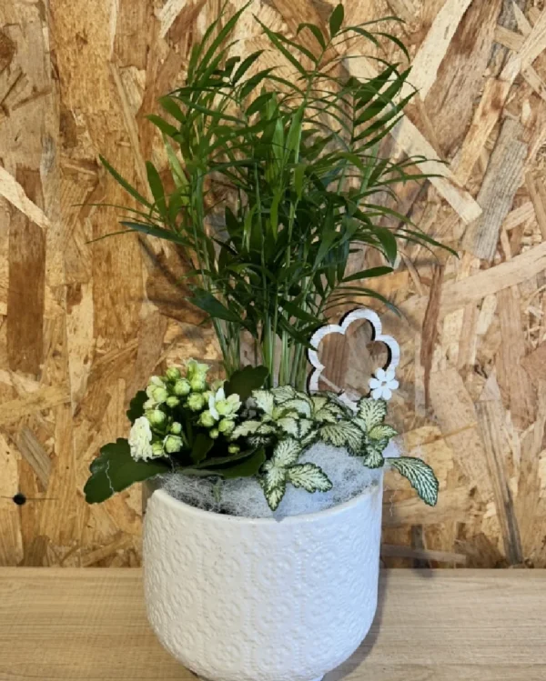 Centro de plantas basic white. 1 Centro de plantas basic white 2