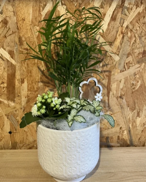 Centro de plantas basic white Centro de plantas basic white