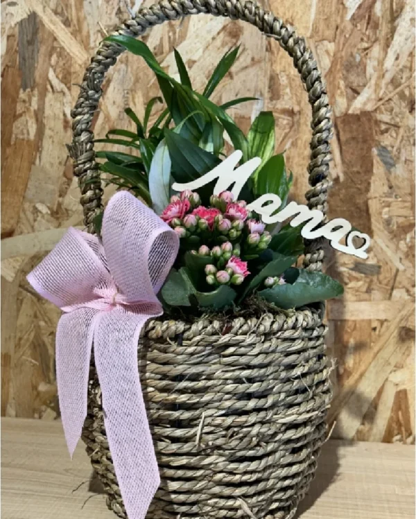 Cesta de plantas MAMA 1