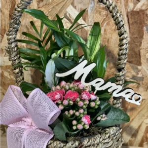 Cesta de plantas MAMÁ. - Imagen 2