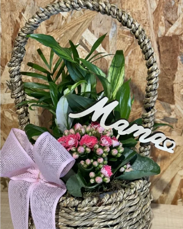 Cesta de plantas MAMA 2