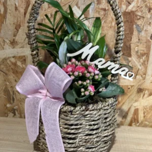 Cesta de plantas MAMÁ. - Imagen 1