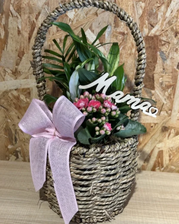 Cesta de plantas MAMA