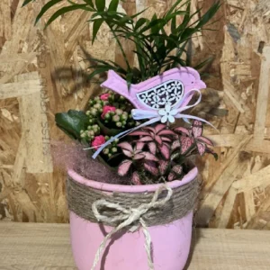 Centro jaula con plantas interior. - Imagen 3