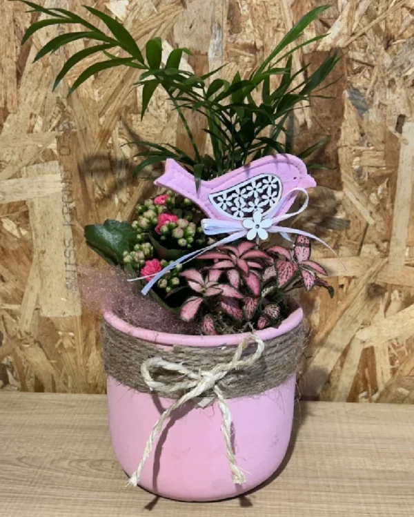 Centro jaula con plantas interior 1