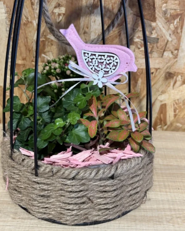 Centro jaula con plantas interior 2