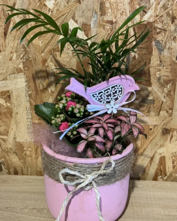 Centro jaula con plantas interior