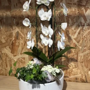 Centro phalaenopsis cascada blanca. 7 Centro phalaenopsis cascada blanca. - Imagen 4