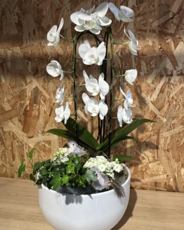 Centro phalaenopsis cascada blanca. 3 Centro phalaenopsis cascada blanca 1