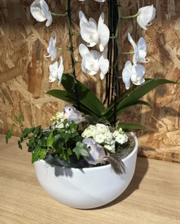 Centro phalaenopsis cascada blanca. 1 Centro phalaenopsis cascada blanca 3