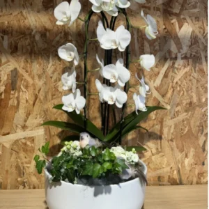 Centro phalaenopsis cascada blanca. 4 Centro phalaenopsis cascada blanca. - Imagen 1