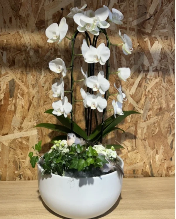 Centro phalaenopsis cascada blanca Centro phalaenopsis cascada blanca