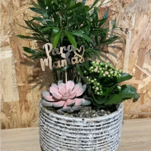 Centro plantas Nordic Mama. - Imagen 4