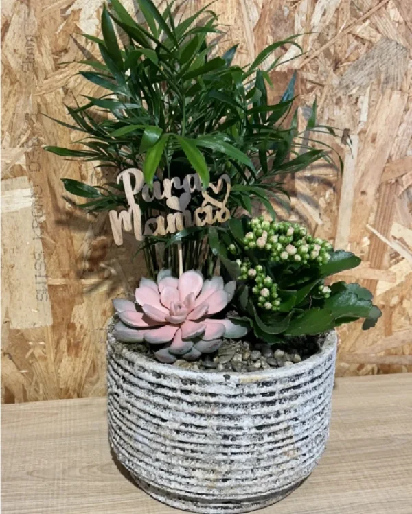 Centro plantas Nordic Mama 1