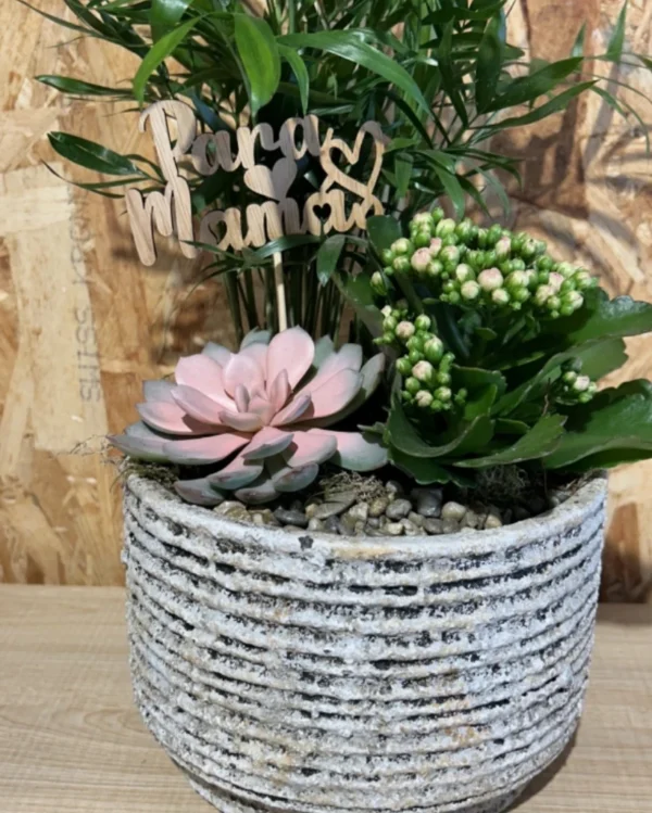 Centro plantas Nordic Mama 2