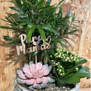 Centro plantas Nordic Mama. - Imagen 2