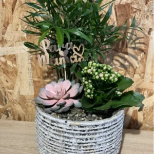 Centro plantas Nordic Mama. - Imagen 1