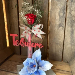 Inicio 47 Base cristal con orquidea y rosa roja preservada