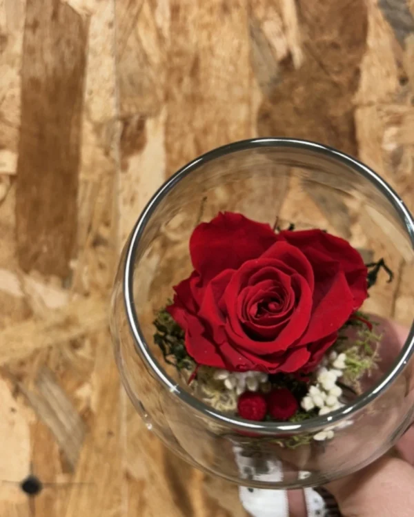 Copa cristal con rosa roja preservada. 2 Copa cristal con rosa roja preservada 2