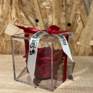Cubo con Rosa Preservada roja. 6 Cubo con Rosa Preservada roja. - Imagen 3