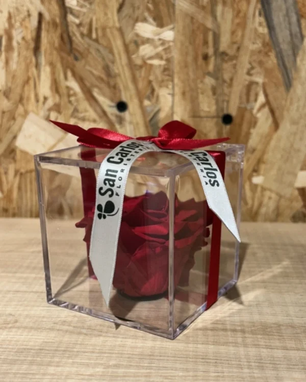 Cubo con Rosa Preservada roja. 2 Cubo con Rosa Preservada roja 1