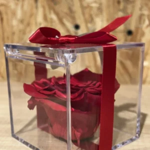 Cubo con Rosa Preservada roja. 7 Cubo con Rosa Preservada roja. - Imagen 4