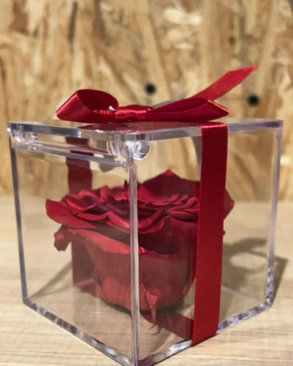 Cubo con Rosa Preservada roja. 3 Cubo con Rosa Preservada roja 2