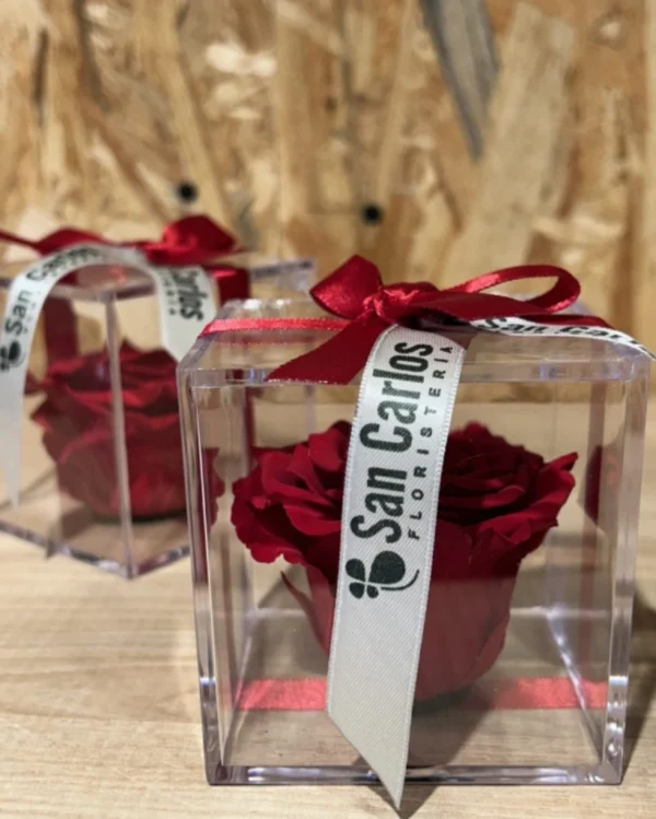 Cubo con Rosa Preservada roja. 1 Cubo con Rosa Preservada roja 3