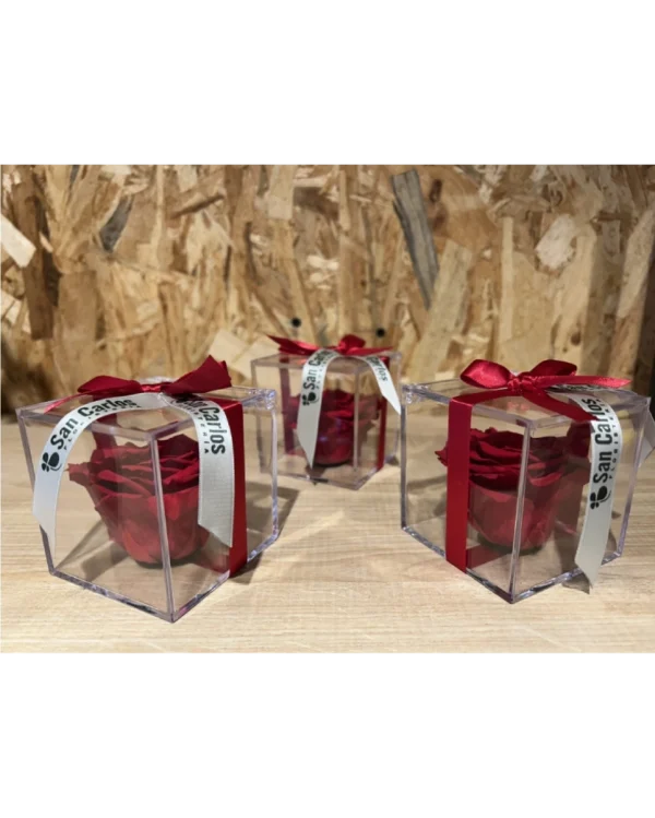 Cubo con Rosa Preservada roja Cubo con Rosa Preservada roja